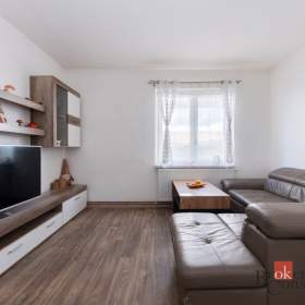Foto inzerátu Prodej bytu 1+1 42 m², Zabrušany