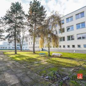 Prodej obchodního prostoru 488 m², Mlékojedy / 19971179