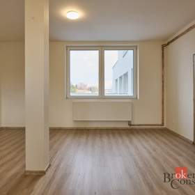 Foto inzerátu Pronájem bytu 1+kk 43 m², Mlékojedy