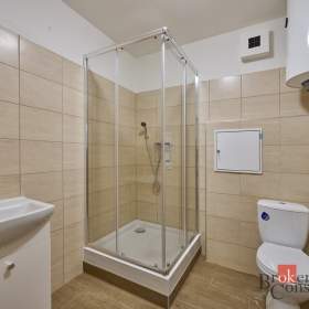 Foto inzerátu Pronájem bytu 1+kk 43 m², Mlékojedy