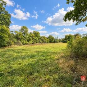 Foto inzerátu Prodej stavebního pozemku 8 750 m², Krhov