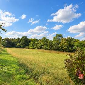 Foto inzerátu Prodej stavebního pozemku 8 750 m², Krhov