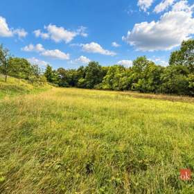 Foto inzerátu Prodej stavebního pozemku 8 750 m², Krhov