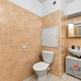 Foto inzerátu Prodej bytu 1+1 48 m², Plzeň