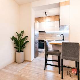 Foto inzerátu Prodej bytu 1+kk 42 m², Brno