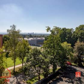 Foto inzerátu Pronájem bytu 2+1 54 m², Karviná