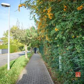 Foto inzerátu Prodej stavebního pozemku 938 m², Mladá Boleslav