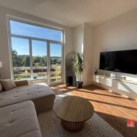 Foto inzerátu Prodej bytu 1+kk 45 m², Litultovice
