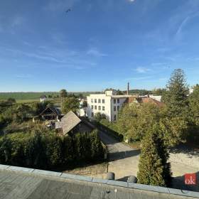 Foto inzerátu Prodej bytu 1+kk 45 m², Litultovice
