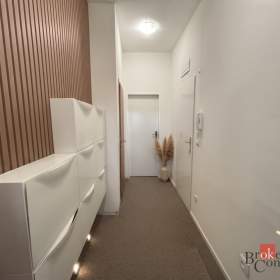 Foto inzerátu Prodej bytu 1+kk 45 m², Litultovice