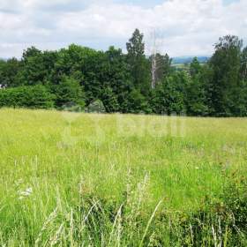 Foto inzerátu Prodej pozemku (6862m2) pro výstavbu rodinného domu poblíž Českého ráje