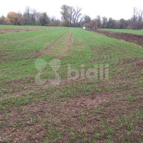 Foto inzerátu Prodej pozemku Rajhrad u Brna - SLEVA !!!