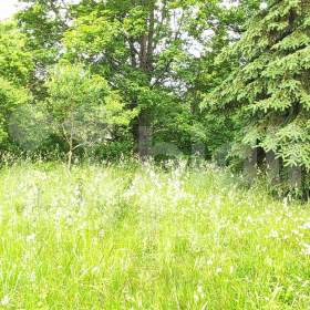 Foto inzerátu Prodej pozemku pro výstavbu rodinného domu (možný projekt na klíč) 956m2 v Krkonoších