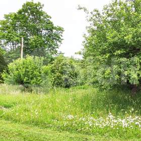 Prodej pozemku pro výstavbu rodinného domu 956m2 v Krkonoších / 18137788