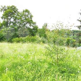 Prodej pozemku pro výstavbu rodinného domu 956m2 v Krkonoších / 18137788