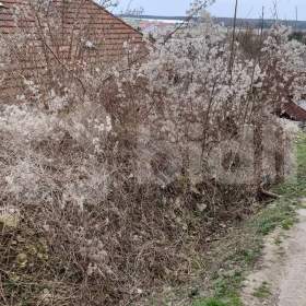 Foto inzerátu Prodej pozemku (127m²) v Benátkách nad Jizerou