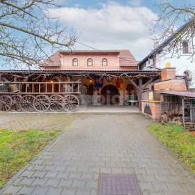 Foto inzerátu Prodej zavedeného vinného sklepa s vinohradem v Mutěnicích u Hodonína