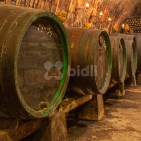 Foto inzerátu Prodej zavedeného vinného sklepa s vinohradem v Mutěnicích u Hodonína