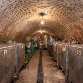 Foto inzerátu Prodej zavedeného vinného sklepa s vinohradem v Mutěnicích u Hodonína