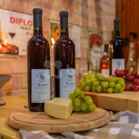 Foto inzerátu Prodej zavedeného vinného sklepa s vinohradem v Mutěnicích u Hodonína