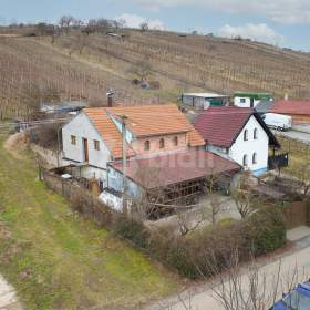 Foto inzerátu Prodej zavedeného vinného sklepa s vinohradem v Mutěnicích u Hodonína