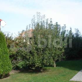 Foto inzerátu Prodej domu, UP 336m2, pozemek 734m2, ul. Moravanská, Praha 9-Vinoř