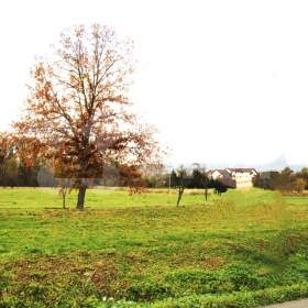 Prodej stavebního pozemku o výměře 1 375 m2, Mankovice / 18730913