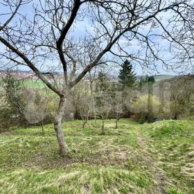 Foto inzerátu Prodej zahrady s chatou