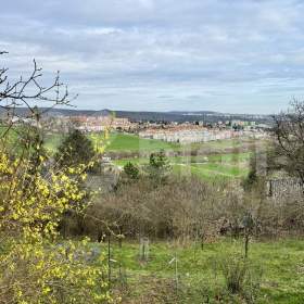 Foto inzerátu Prodej zahrady s chatou