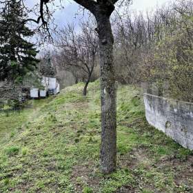 Foto inzerátu Prodej zahrady s chatou