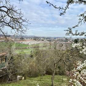 Foto inzerátu Prodej zahrady s chatou