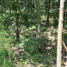 Foto inzerátu Prodej pozemku v Kníničkách, 3 595 m2