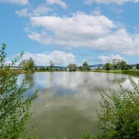 Foto inzerátu Exkluzivní prodej pozemků 2990 m2, Nýrsko