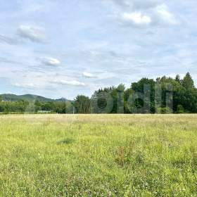 Foto inzerátu Prodej stavebního pozemku 2016 m2, Dolní Město-V Chalupách