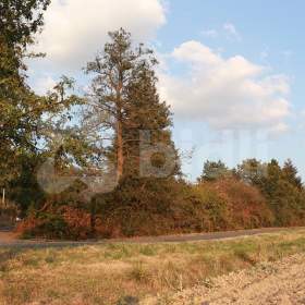 Foto inzerátu Pozemek Bělkovice-Lašťany 3030 m2
