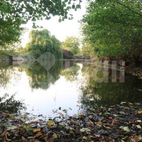 Foto inzerátu Pozemek Bělkovice-Lašťany 3030 m2