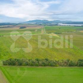 Foto inzerátu Prodej vinařství, včetně technologií, zásob a vinic, Nová Ves u Pohořelic