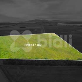 Foto inzerátu Prodej vinařství, včetně technologií, zásob a vinic, Nová Ves u Pohořelic