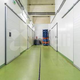 Foto inzerátu Prodej vinařství, včetně technologií, zásob a vinic, Nová Ves u Pohořelic