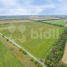 Prodej hodnotného pozemku, více jak 229 000 m2, Nová Ves u Pohořelic / 19221495