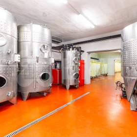 Foto inzerátu Prodej hodnotného pozemku, více jak 229 000 m2, Nová Ves u Pohořelic