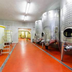 Foto inzerátu Prodej hodnotného pozemku, více jak 229 000 m2, Nová Ves u Pohořelic