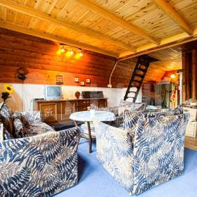 Prodej chaty 45 m² , pozemek 376 m² , Litice nad Orlicí / 19226793