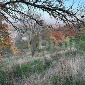 Foto inzerátu Ostopovice - Přední hora / zahrada 762m2