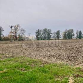 Foto inzerátu Prodej pozemku Štítina 3 178 m2