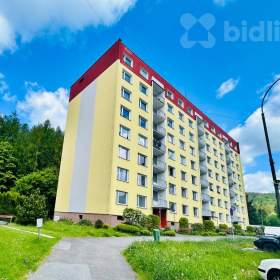 Prodej bytu 2+1, Desná / 19372040