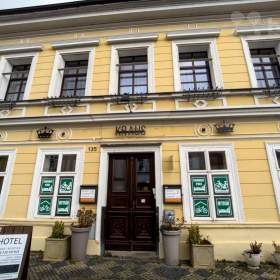Prodej zavedeného hotelu s 20 pokoji a kompletním zázemím -  užitná plocha 900 m²  / 19373636