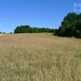 Foto inzerátu Pozemek s výhledem, 850 m2, Staré Hodějovice