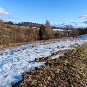 Prodej pozemku / louky 3998m2 v Krkonoších / 19383350