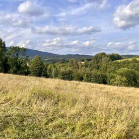 Foto inzerátu Prodej pozemku / louky 3998m2 v Krkonoších